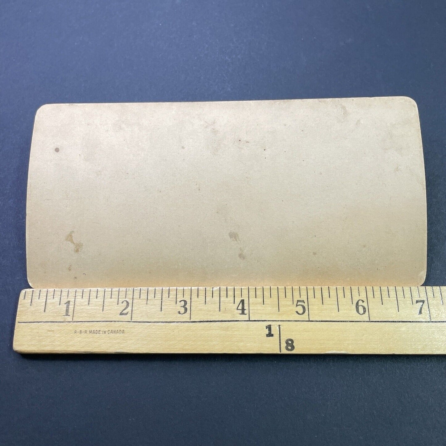 Antique 1896 Girl Plays Dolls With Her Calf Cow Stereoview Photo Card P3120