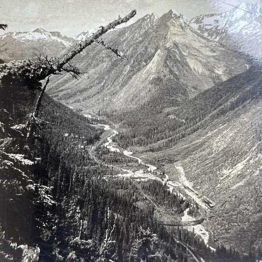 Antique 1903 Rogers Pass Glacier British Columbia Stereoview Photo Card PC859