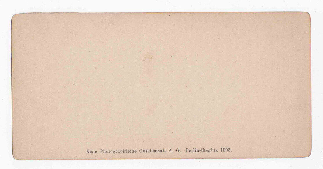 Antique 1903 Sankt Goar Und Burg Rheinfels, Germany Stereo Card P334