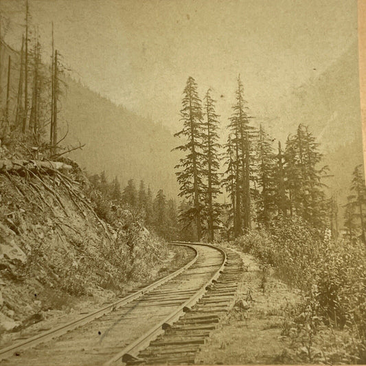 Antique 1894 CP Railroad Tracks Ross Peak BC Canada Stereoview Photo PC624