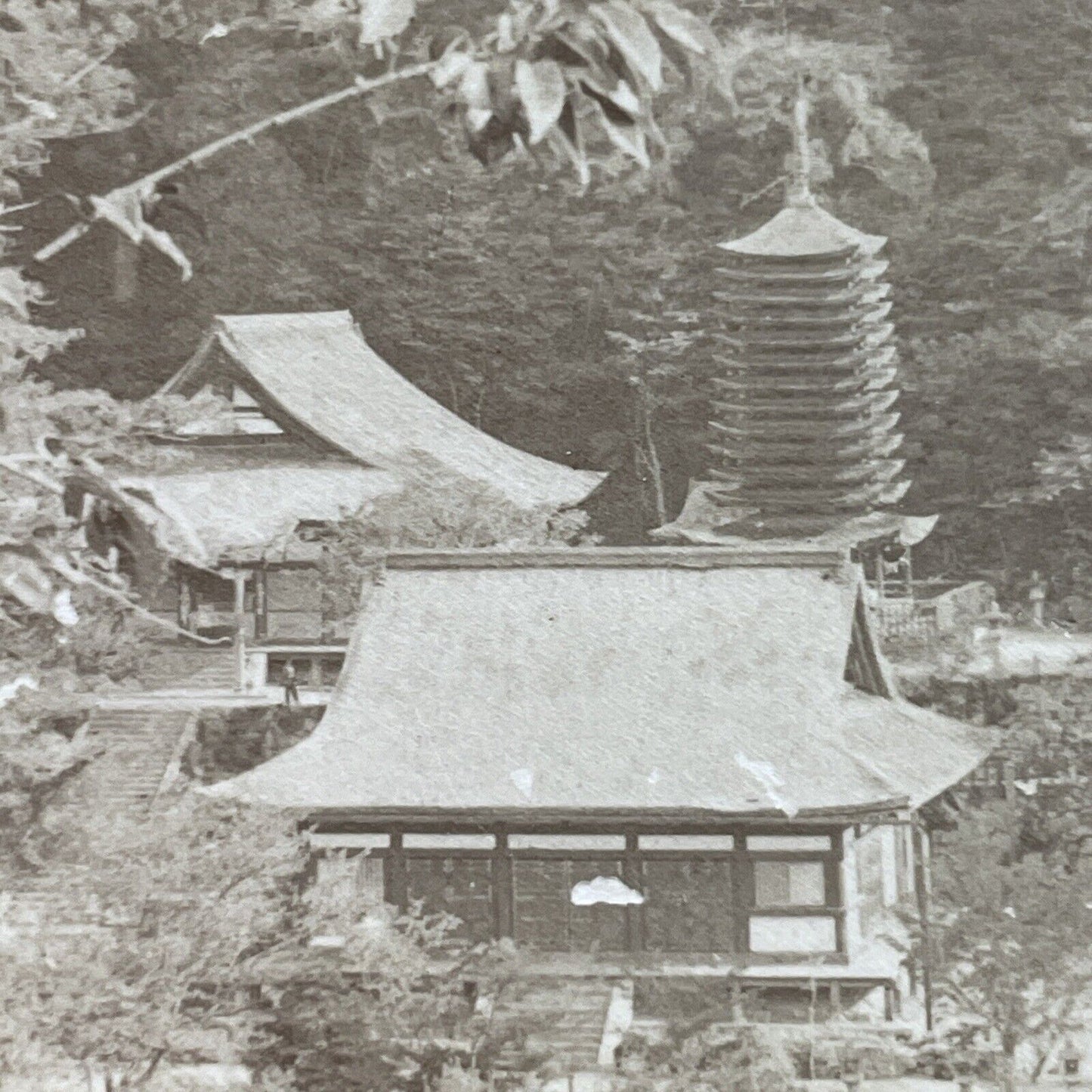 Antique 1901 Tanzan Jinja Jusanjunoto Shrine Sakurai Stereoview Photo Card P3779