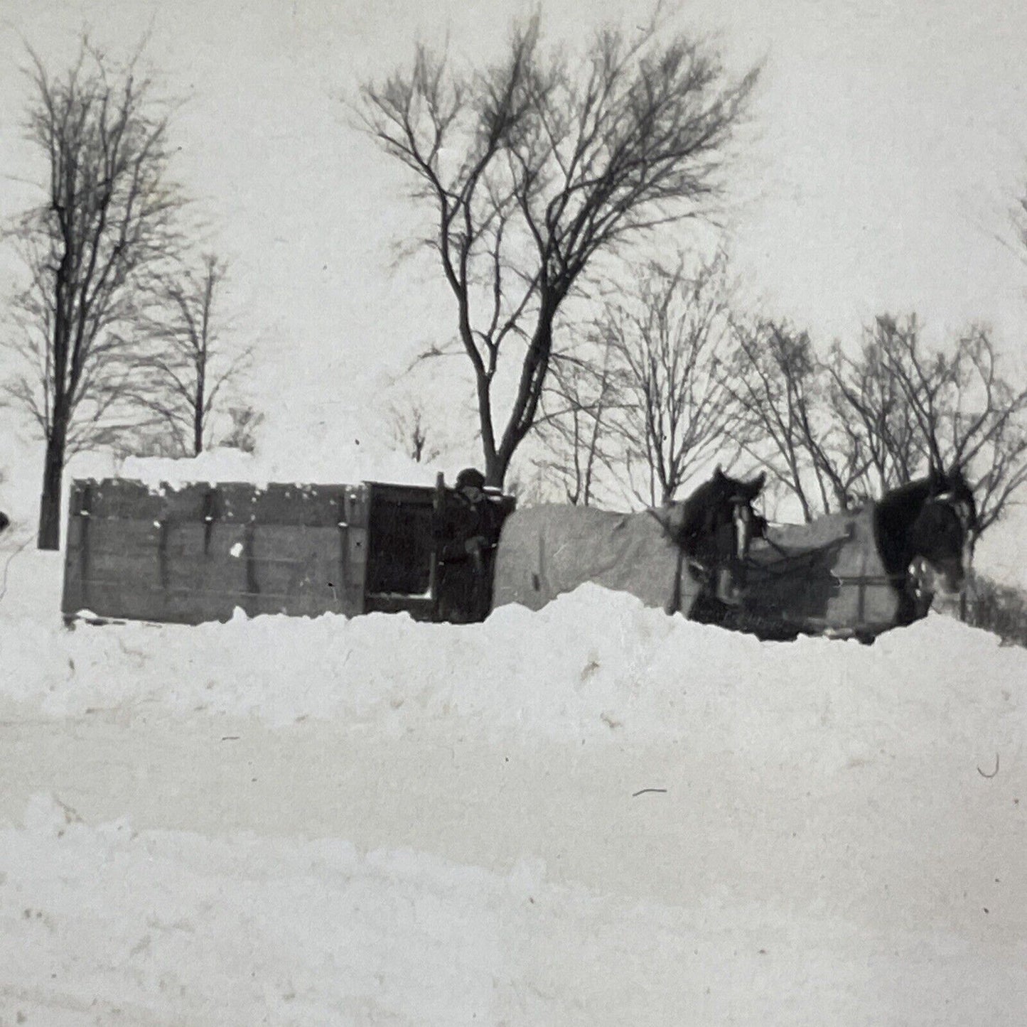 Snow Removal Crews Ottawa Ontario Canada Stereoview OOAK Antique c1908 Y2716