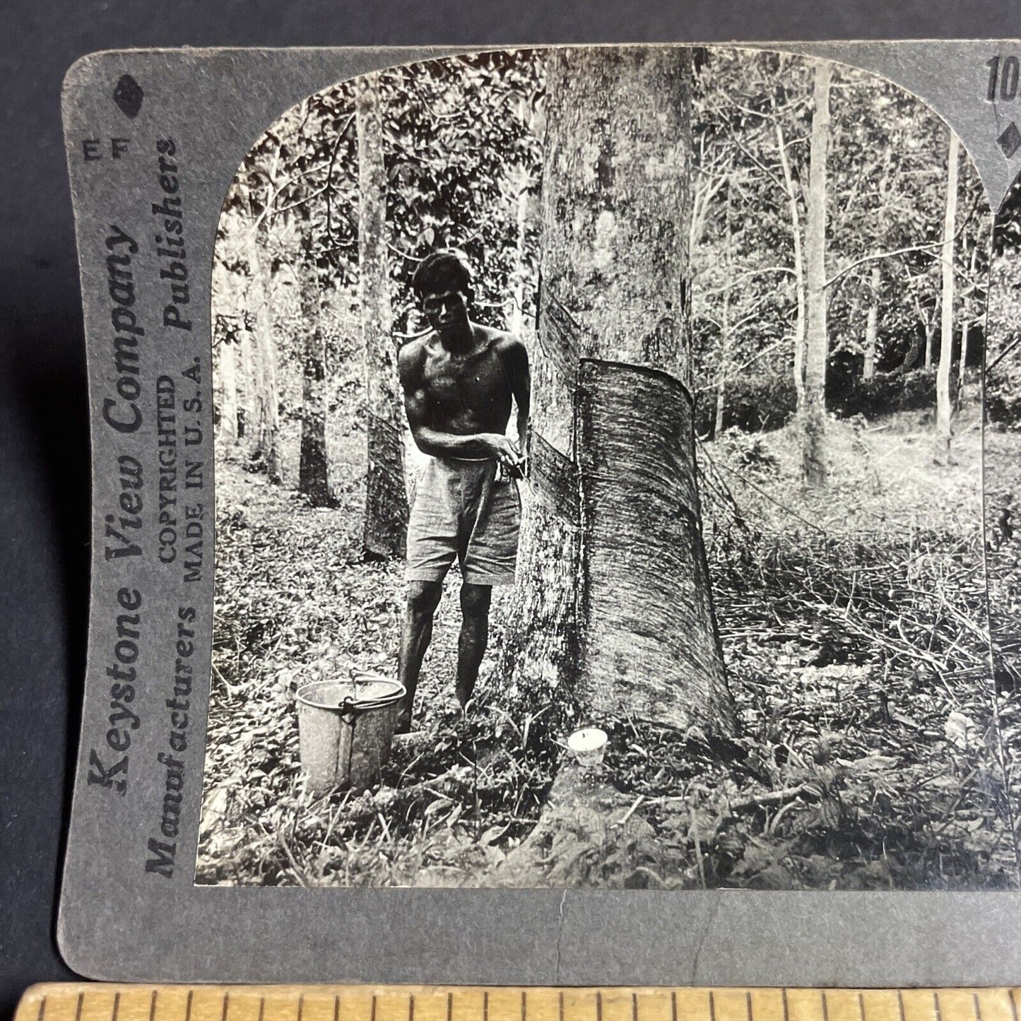 Antique 1910s Unpaid Labor From India In Fiji Island Stereoview Photo Card P4219