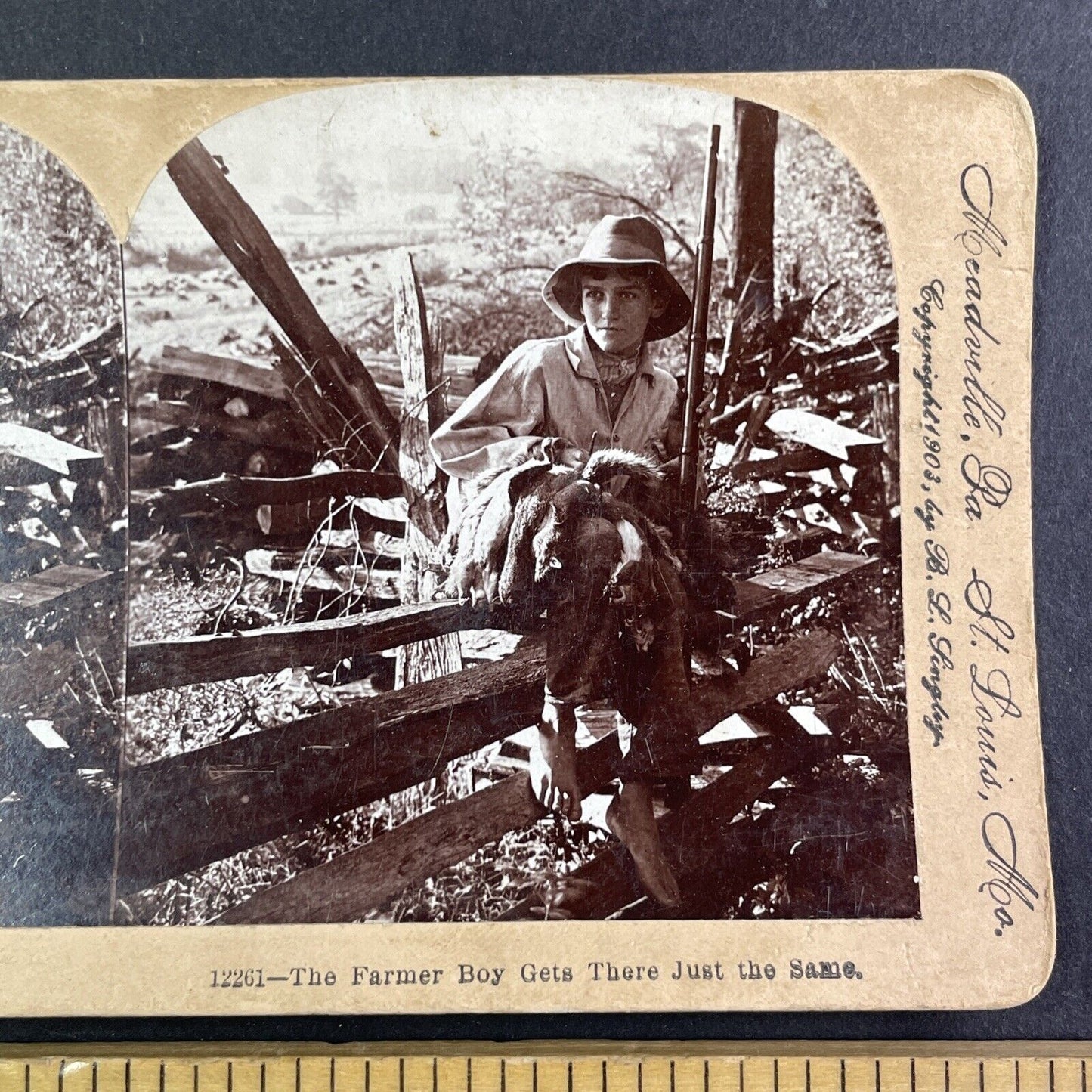 Farm Boy Hunts Squirrels For Dinner Stereoview B.L. Singley Antique c1903 Y1339