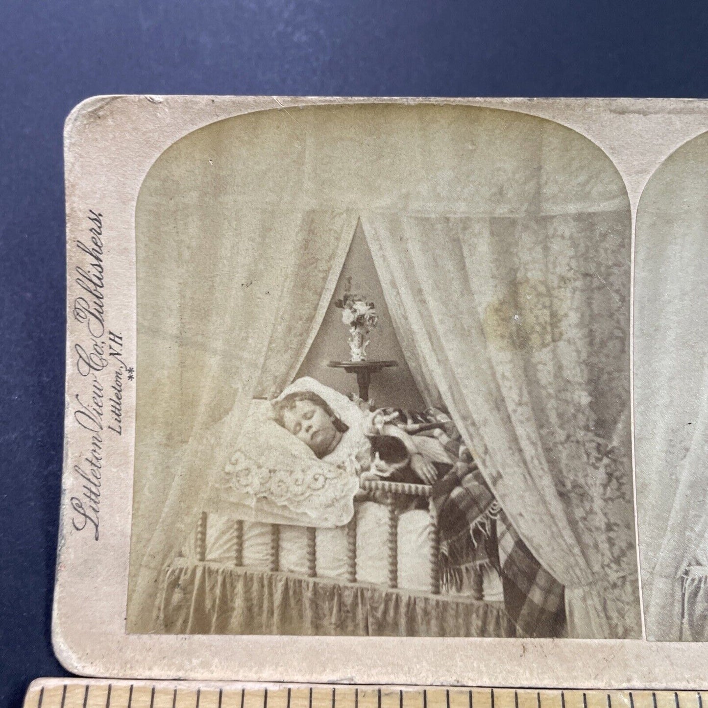 Antique 1889 Child Sleeps In Victorian Crib Bed Stereoview Photo Card P3998