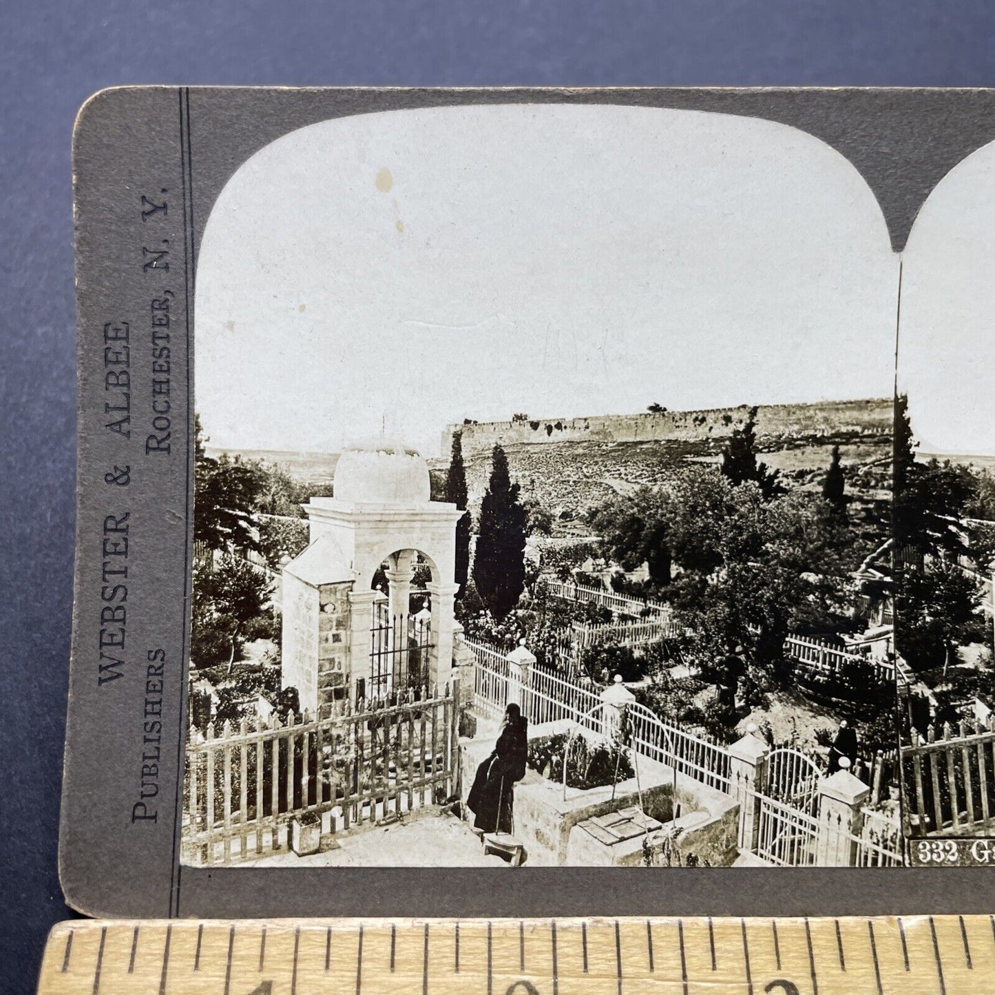 Antique 1901 Garden Of Gethsemane Israel Palestine Stereoview Photo Card P2494