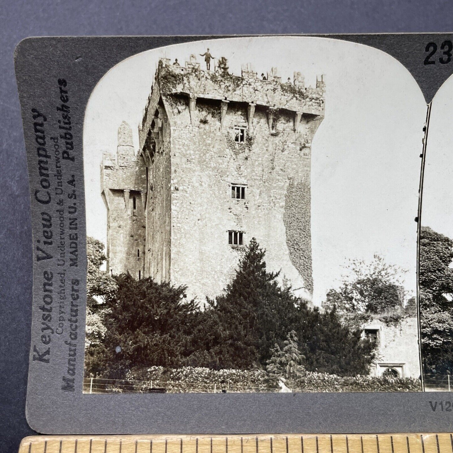 Antique 1910s Blarney Castle Dromderrig Ireland Stereoview Photo Card P2816