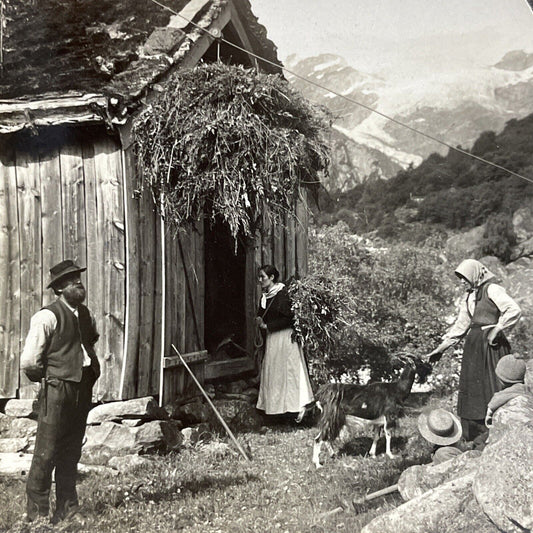 Antique 1910s A Zipline In Northern Norway Stereoview Photo Card P5182