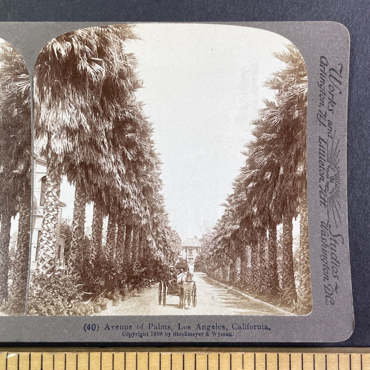 Adams Blvd Los Angeles California Stereoview Strohmeyer Antique c1898 Y1154