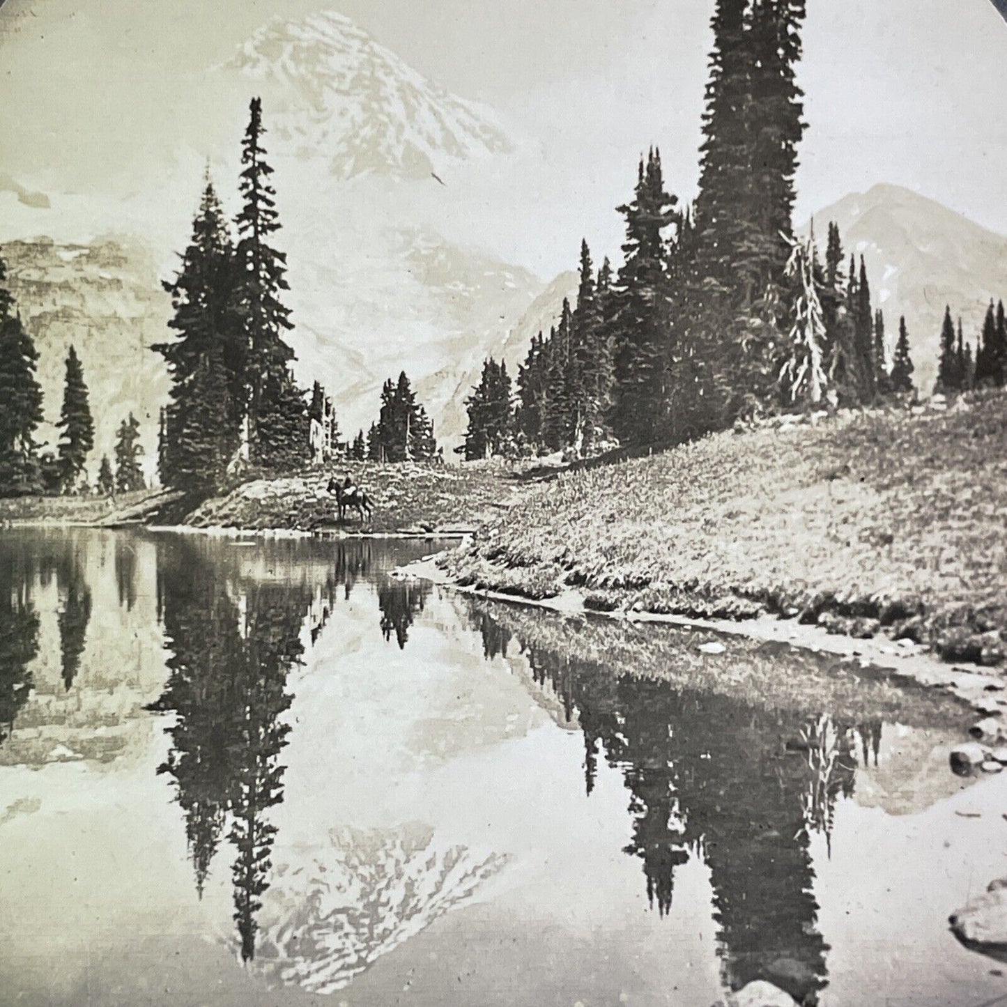 Cowboy near Mount Rainier Washington Stereoview Antique c1910 Y1168