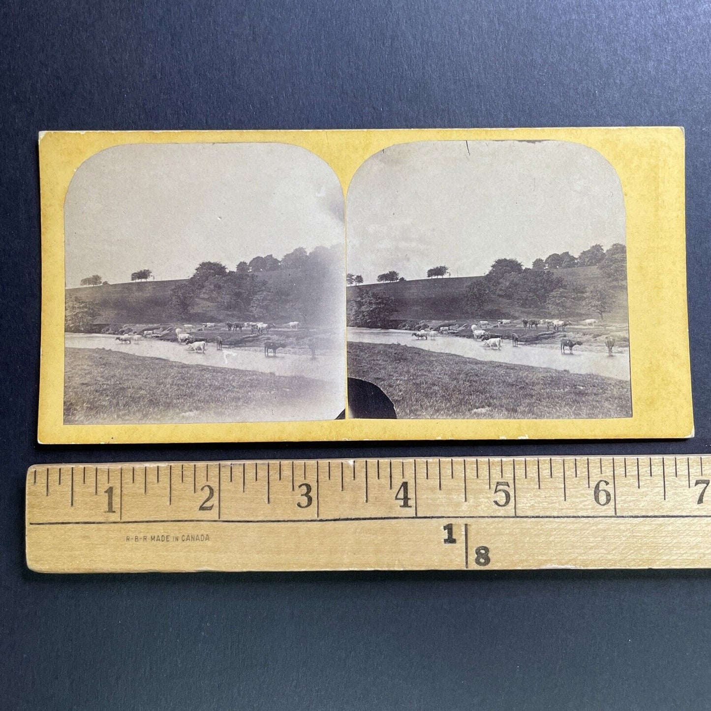 Antique 1860s Chatsworth Estate Park Derbyshire Stereoview Photo Card P1635