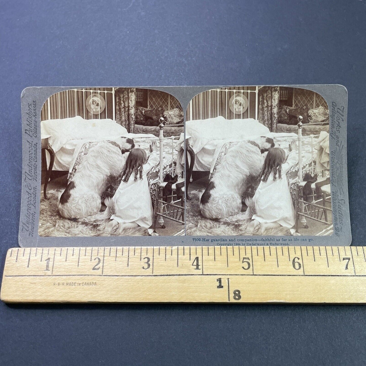 Antique 1905 Child Teaches Dog To Pray Stereoview Photo Card P3114