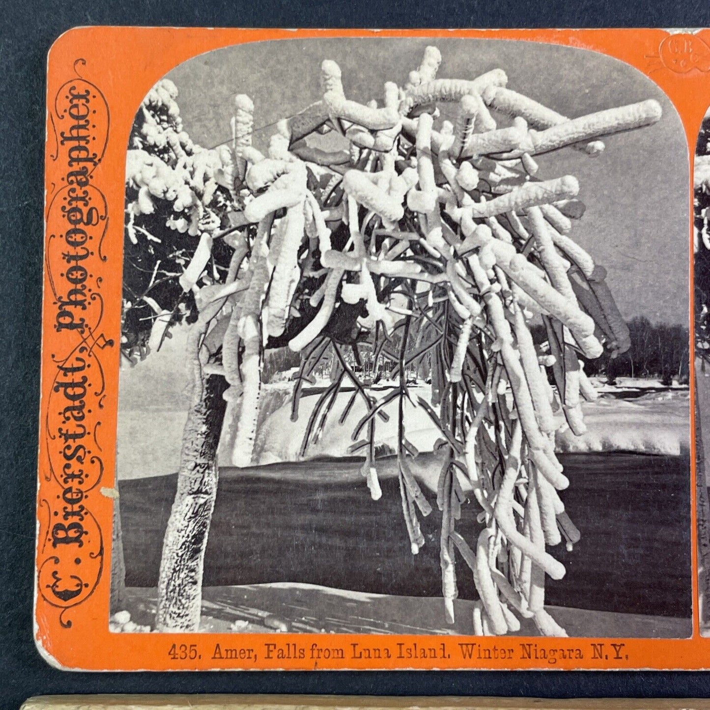 Frozen Tree on the Niagara River Stereoview Charles Bierstadt c1870s Y2218