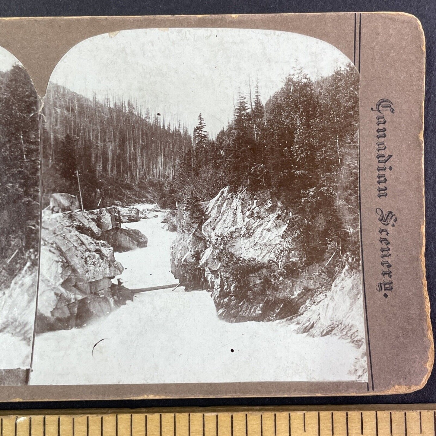 Beaver Canyon Gorge British Columbia Stereoview CPR Rail Views c1890s Y2119