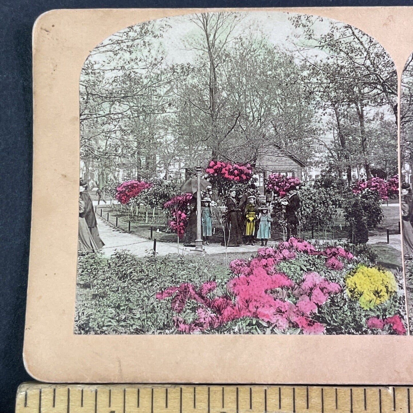 Wooded Island Chicago Illinois Stereoview Jackson Park Antique c1893 X3135