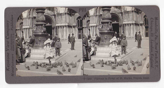 1903 Stereoview Of 1880's Children Feeding Pigeons Venice Italy Stereo Card P394