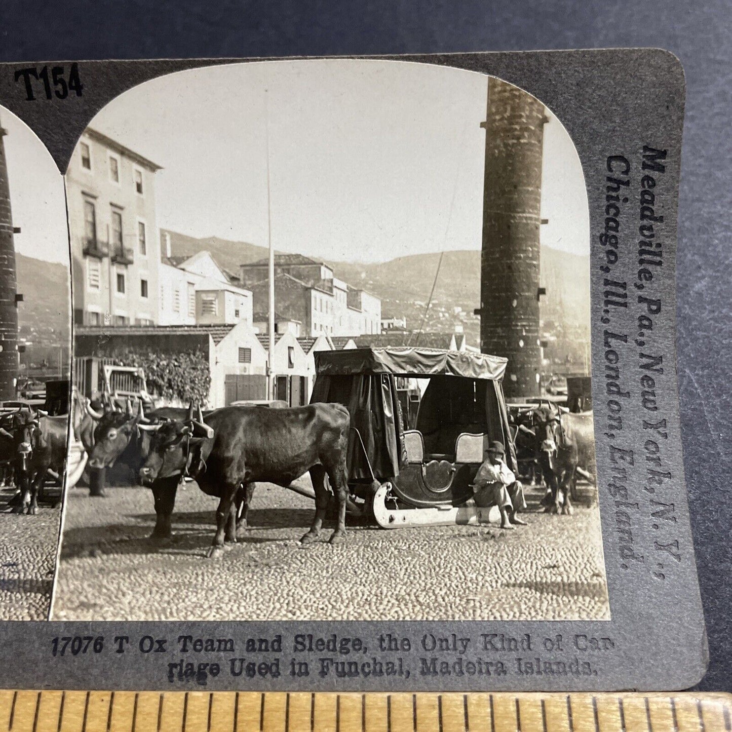 Antique 1910s Ox Oxen Taxi Sled Funchal Portugal Stereoview Photo Card P5059