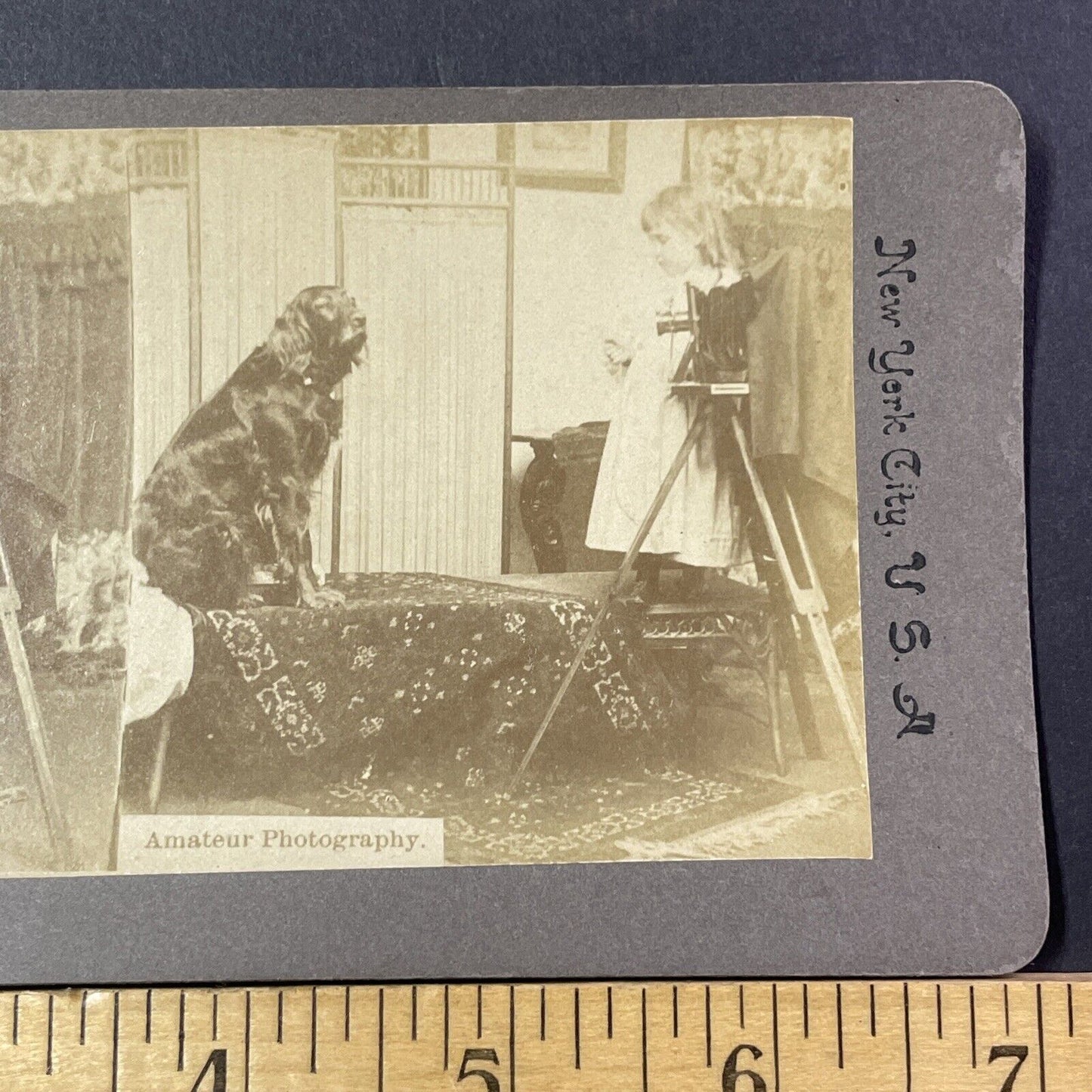 Camera Photography Girl Taking Photo Stereoview Card Antique c1899 X1229