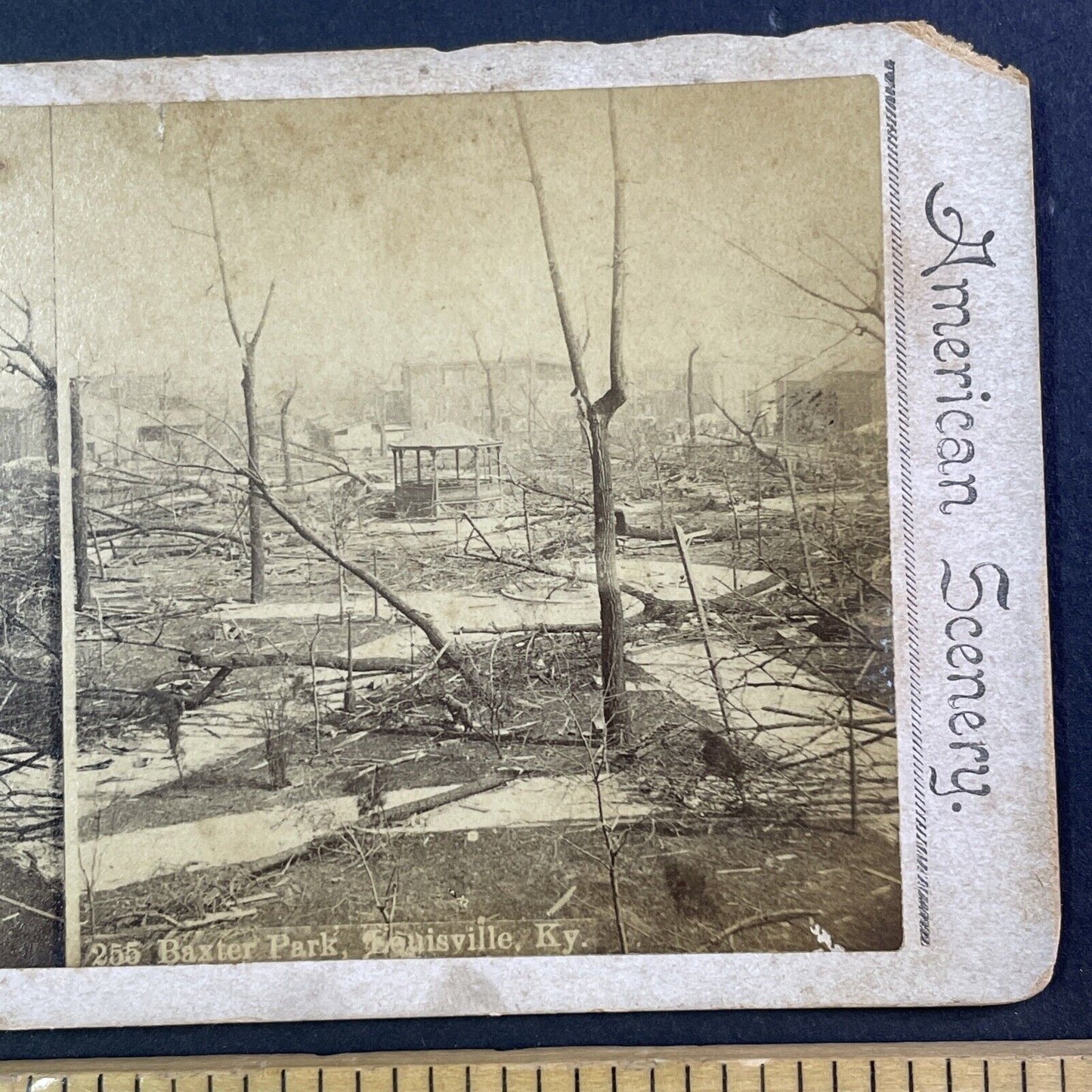 Louisville Kentucky F4 Tornado Disaster Stereoview Baxter Park c1890 X3741