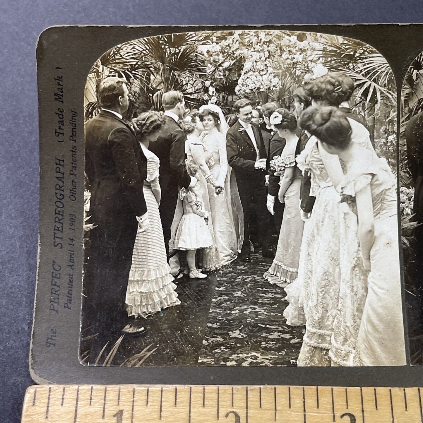 Antique 1902 Bride & Groom Congratulated By Guests Stereoview Photo Card P2948