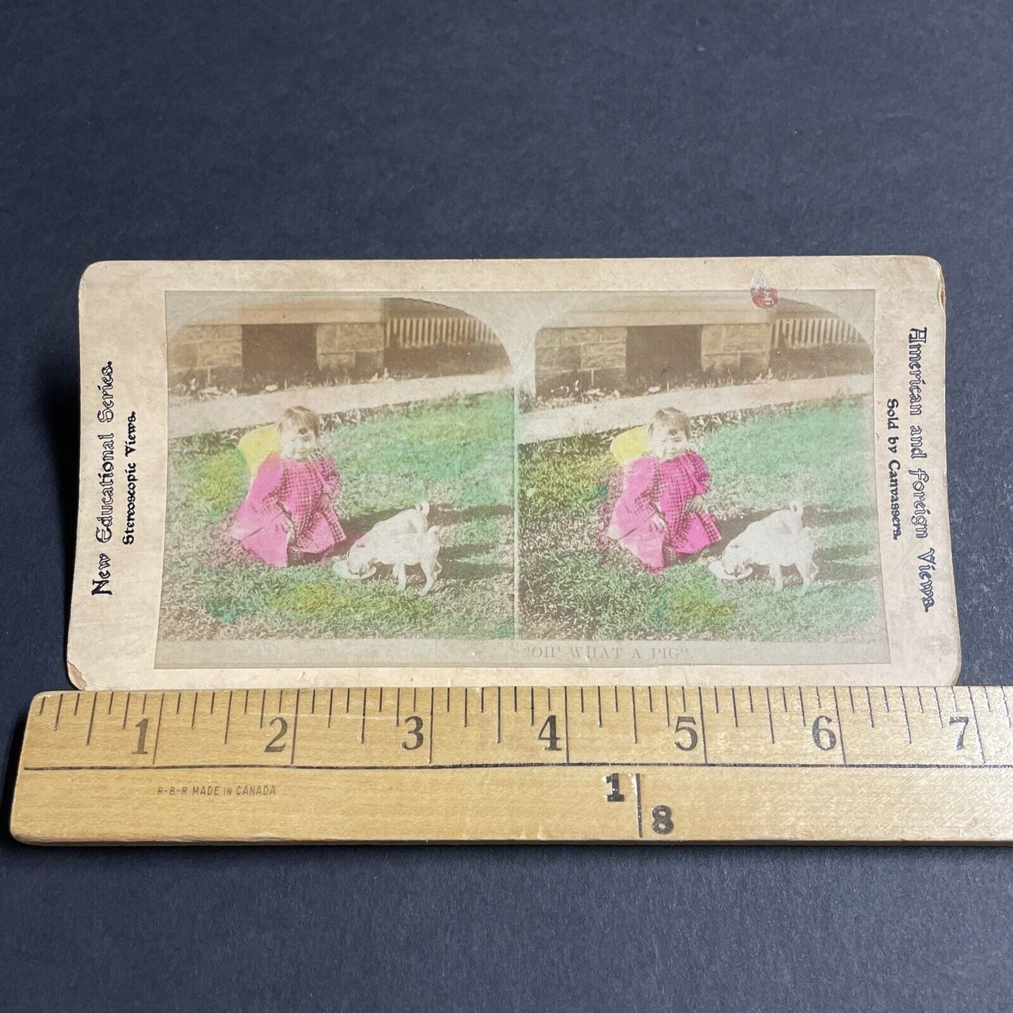 Antique 1880s Little Girl With Her Pug Dog Stereoview Photo Card P4649