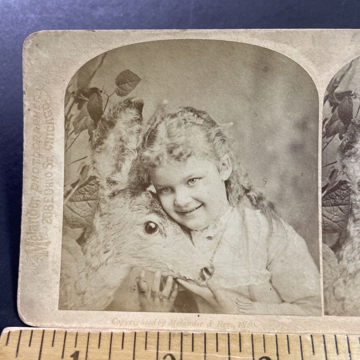 Antique 1880s Child Hugs A Stuffed Dead Deer Stereoview Photo Card P4040