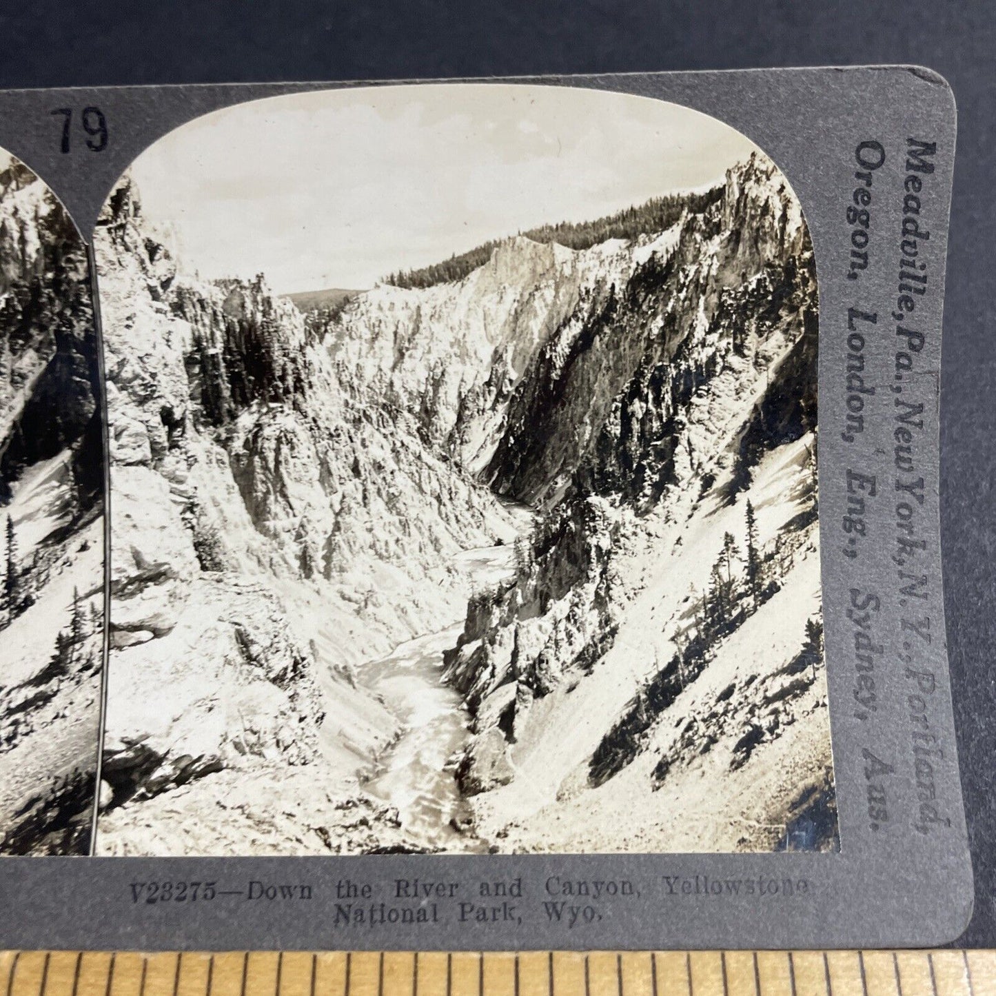 Antique 1910s River & Canyon Yellowstone Park WY Stereoview Photo Card P4856