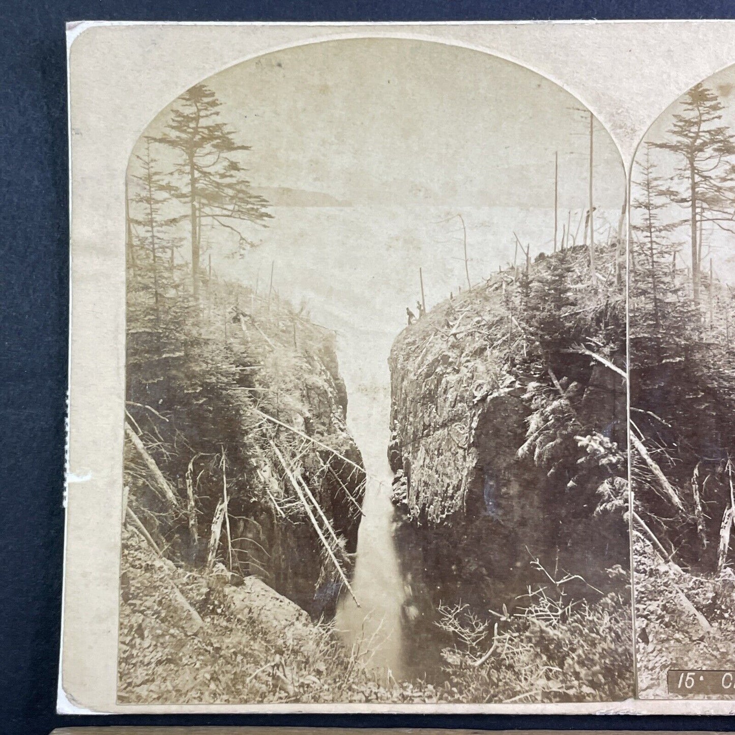 Porcupine Islands Cliffs Bar Harbor Maine Stereoview Rare Antique c1870s Y167