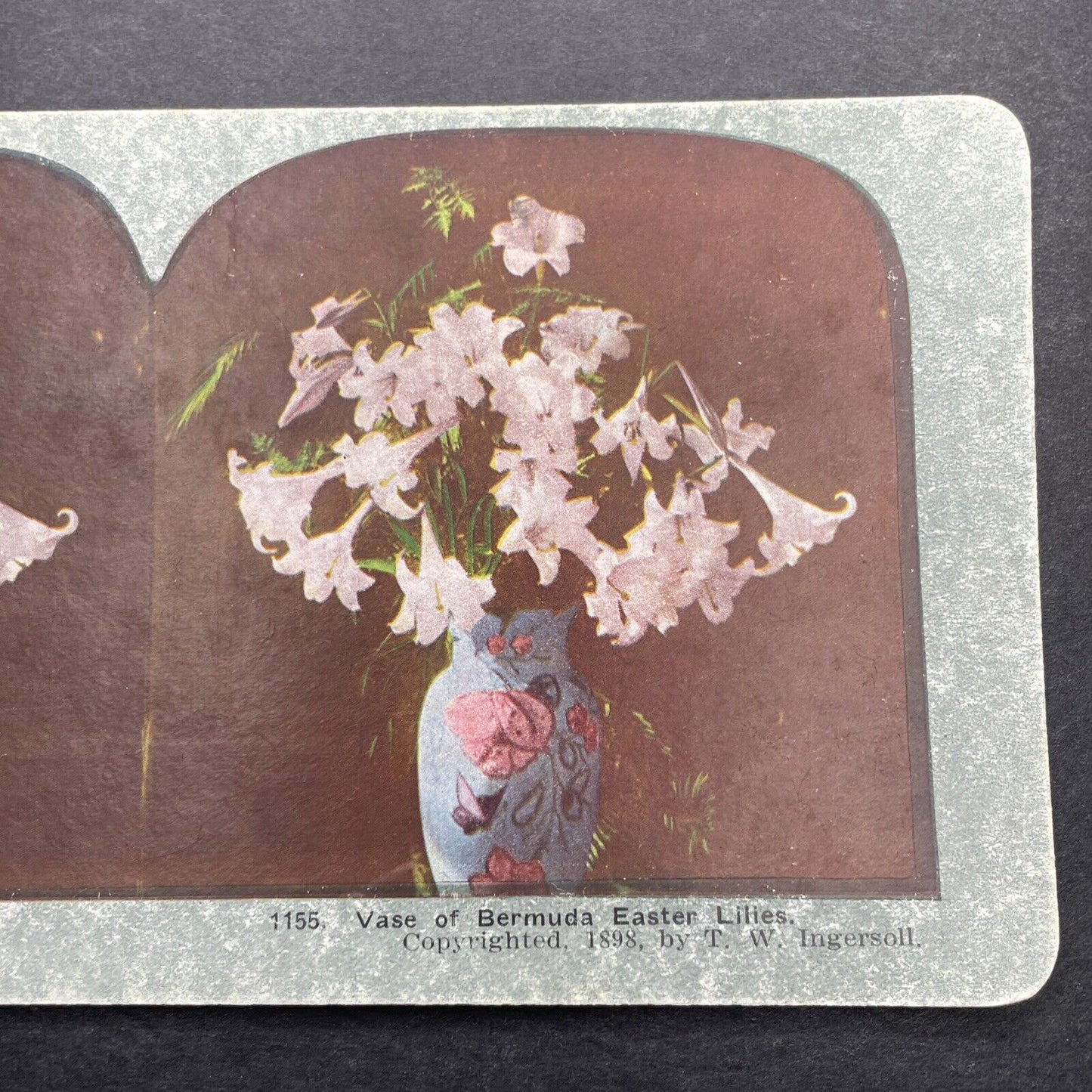 Antique 1898 Bermuda Easter Lillies In Vase Stereoview Photo Card P580-006