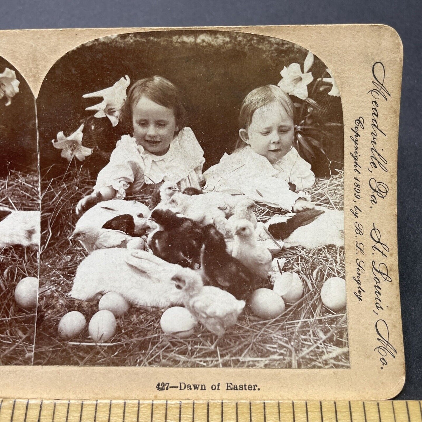 Antique 1899 Children Play With Easter Eggs, Bunnies Stereoview Photo Card P2605