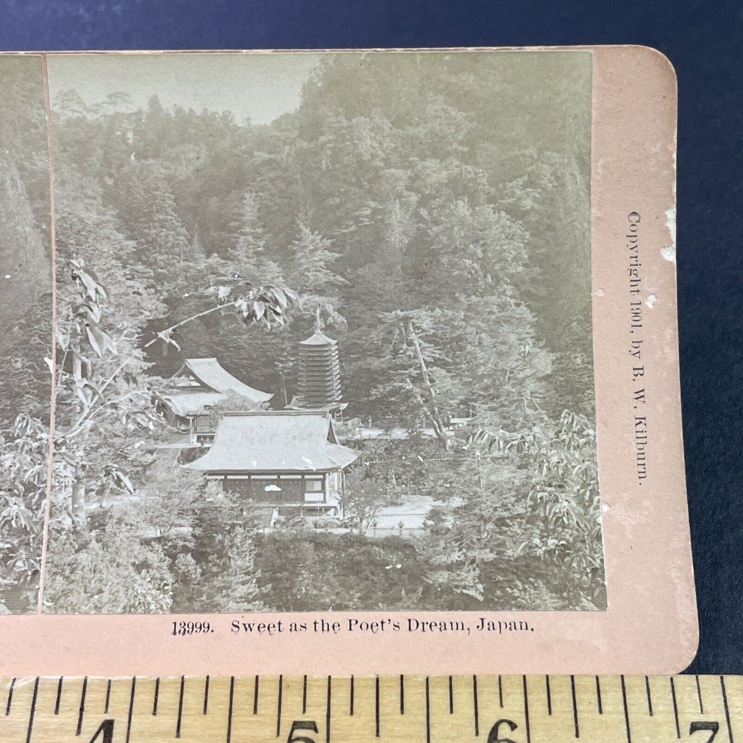 Antique 1901 Tanzan Jinja Jusanjunoto Shrine Sakurai Stereoview Photo Card P3779