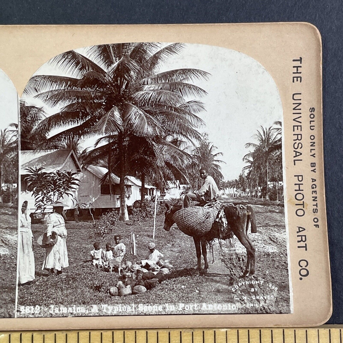 Port Antonio Jamaica Town Village Stereoview CH Graves Antique c1898 X3220