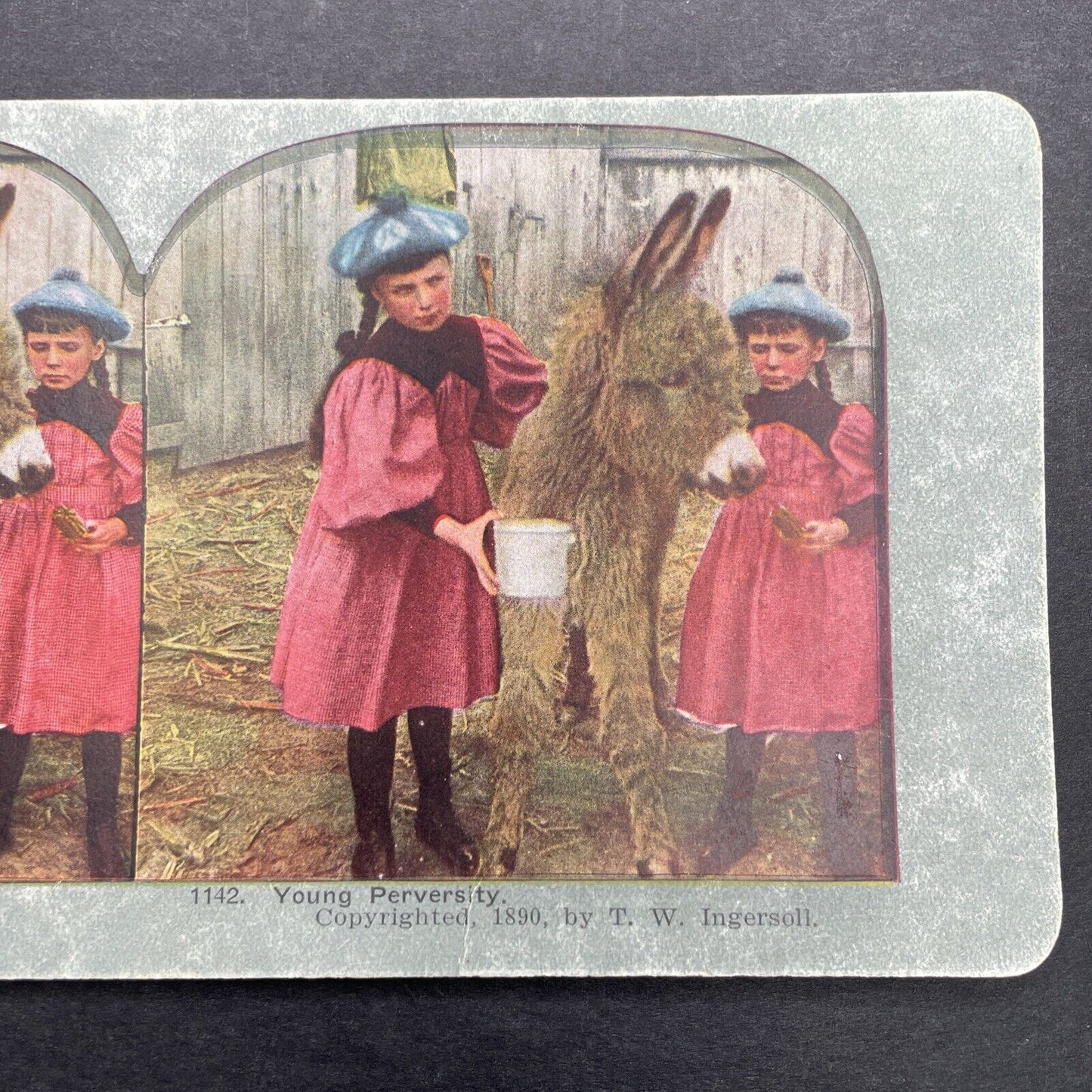 Antique 1890 Young Girls Feed A Donkey On Farm Stereoview Photo Card P580-044