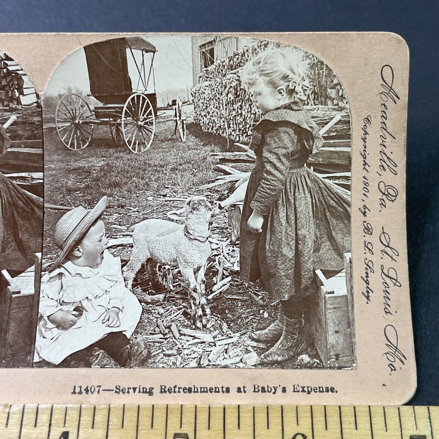 Antique 1901 Girl Takes Baby Bottle Gives It To Lamb Stereoview Photo Card P2854