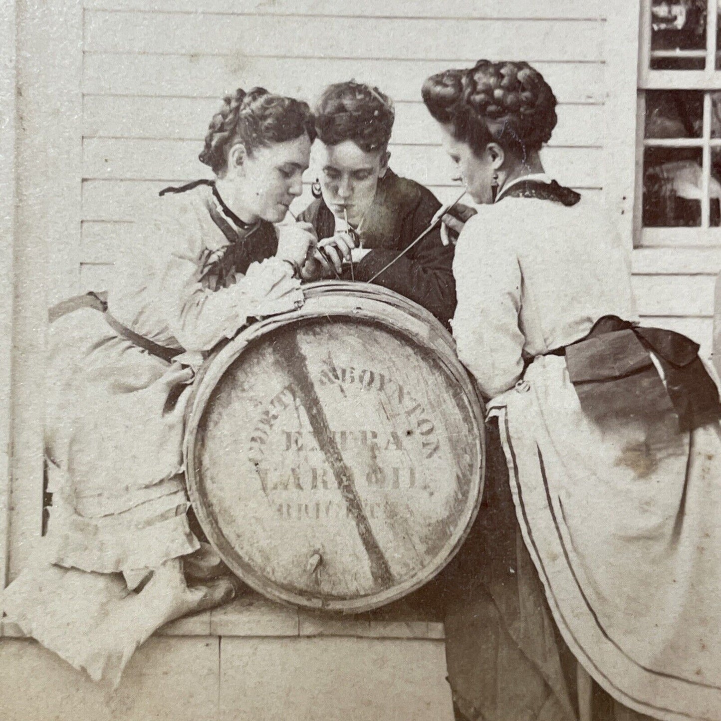 Antique 1872 Edwin Stone House Drinking Pig Fat Swanzey NH Stereoview Card V2109