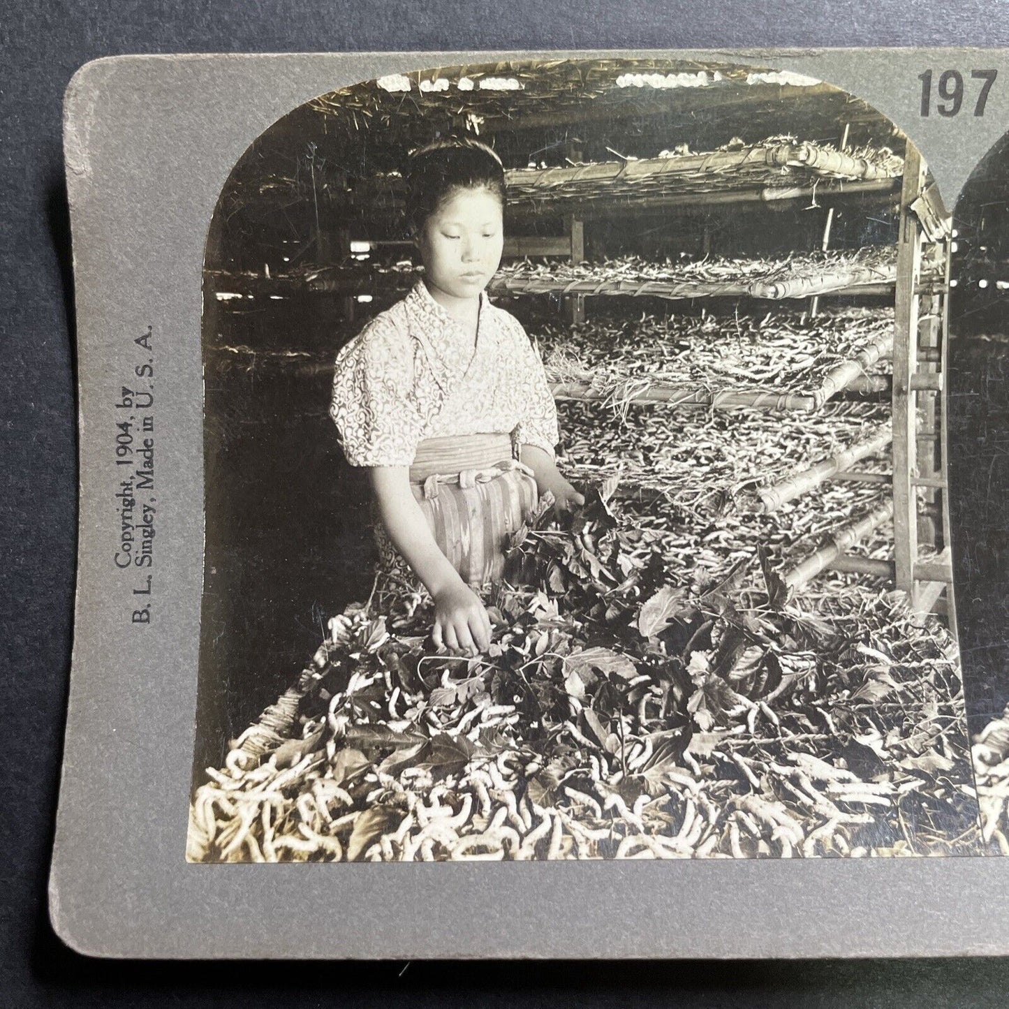 Antique 1904 Girl On Silkworm Farm Japan Stereoview Photo Card P1431