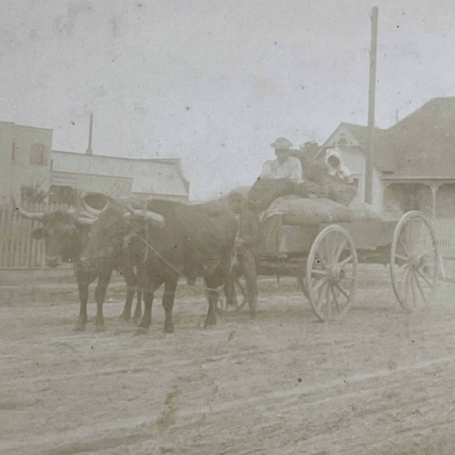 African American Settlers In Ox Wagon Stereoview Antique c1890 X1809