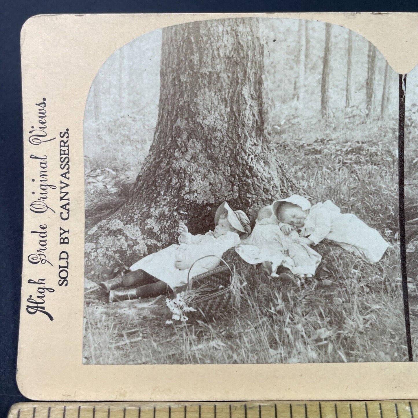 Antique 1890s Babies & Children Fall Asleep In Woods Stereoview Photo Card P3349