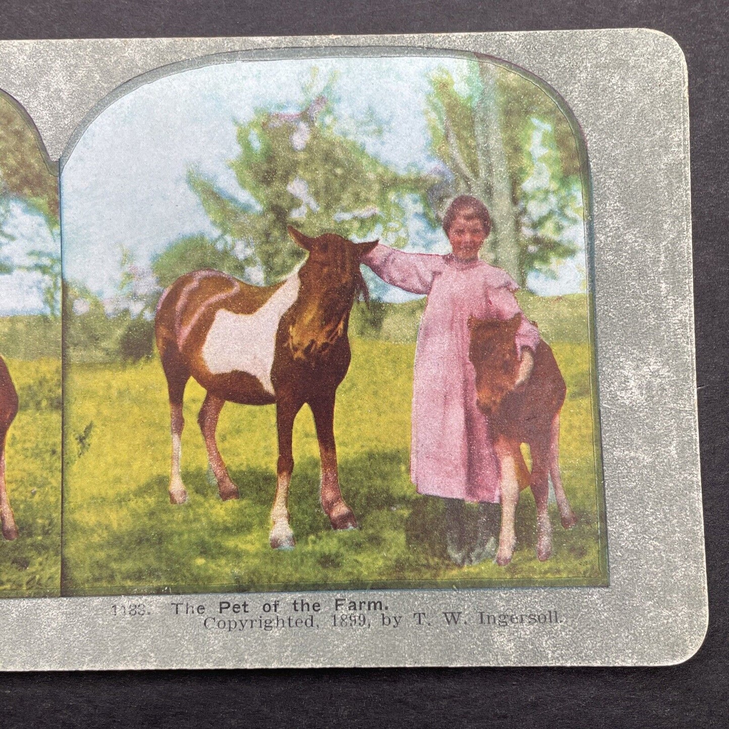 Antique 1899 Child With Her Ponies Pony Horse Stereoview Photo Card P580-016