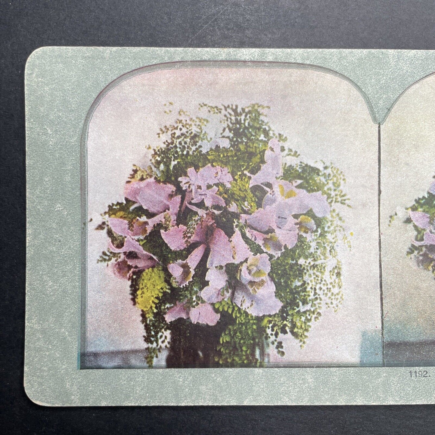 Antique 1892 Bouquet Of Rare Orchids Stereoview Photo Card P1221