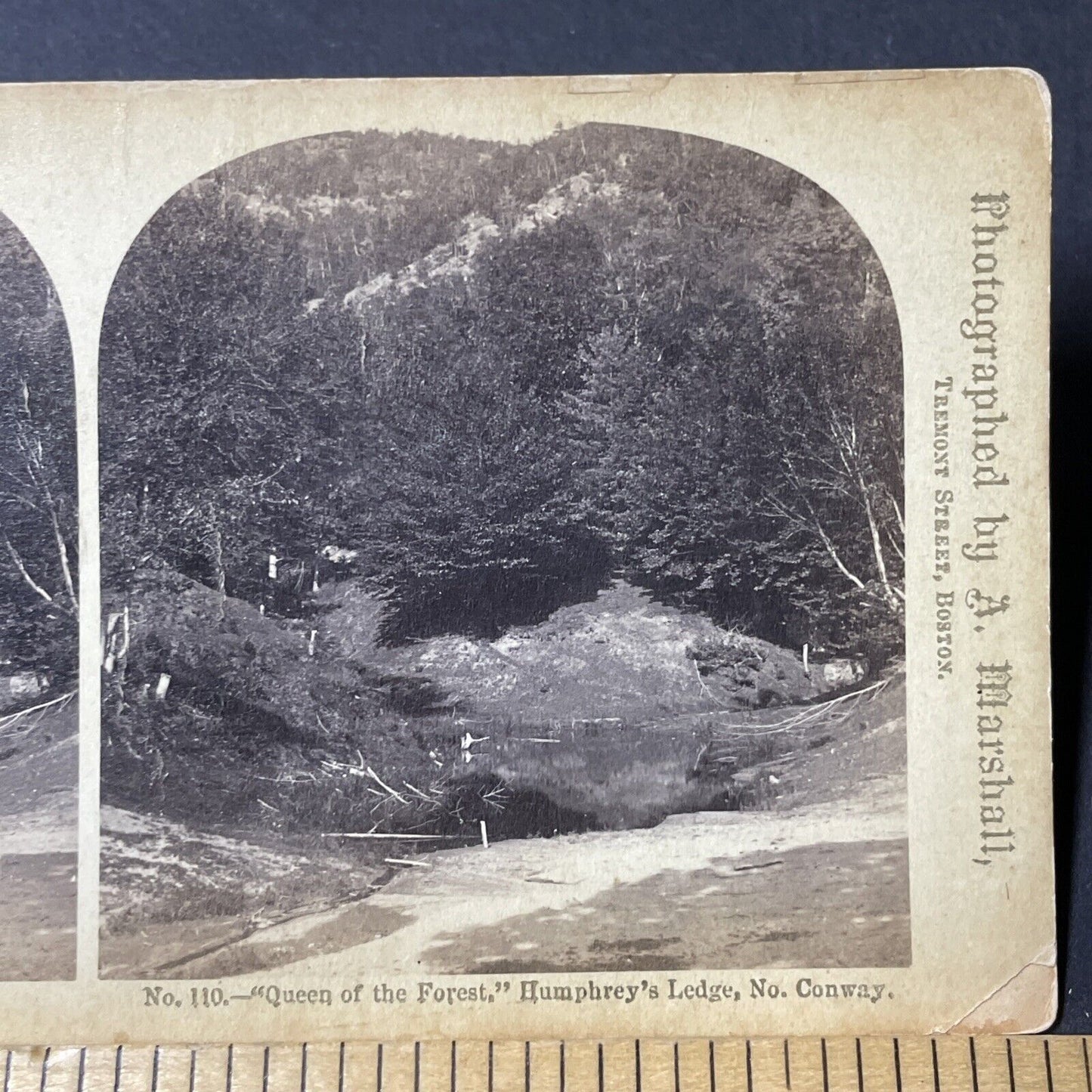 Antique 1880s Humphrey's Ledge North Conway NH Stereoview Photo Card V1844