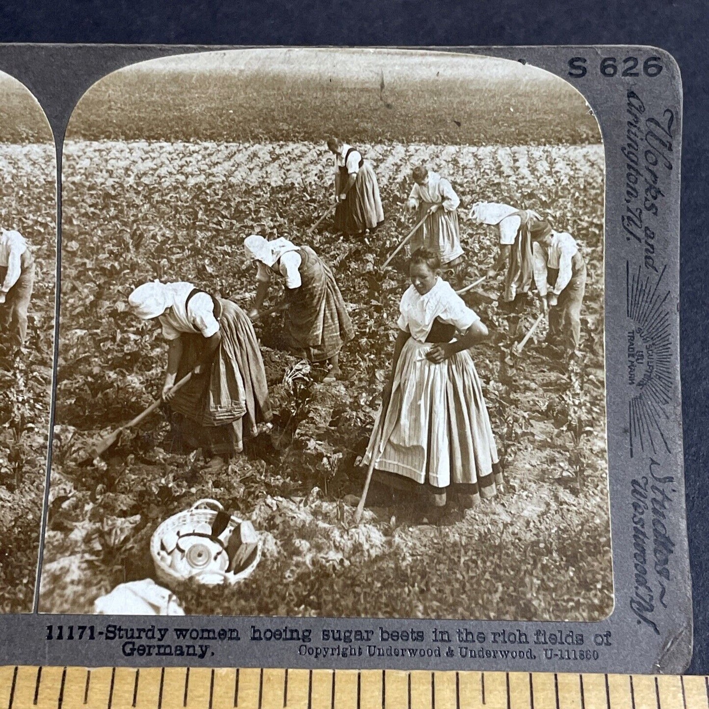 Antique 1900 Traditional Saxony Women Farmers Stereoview Photo Card P4472