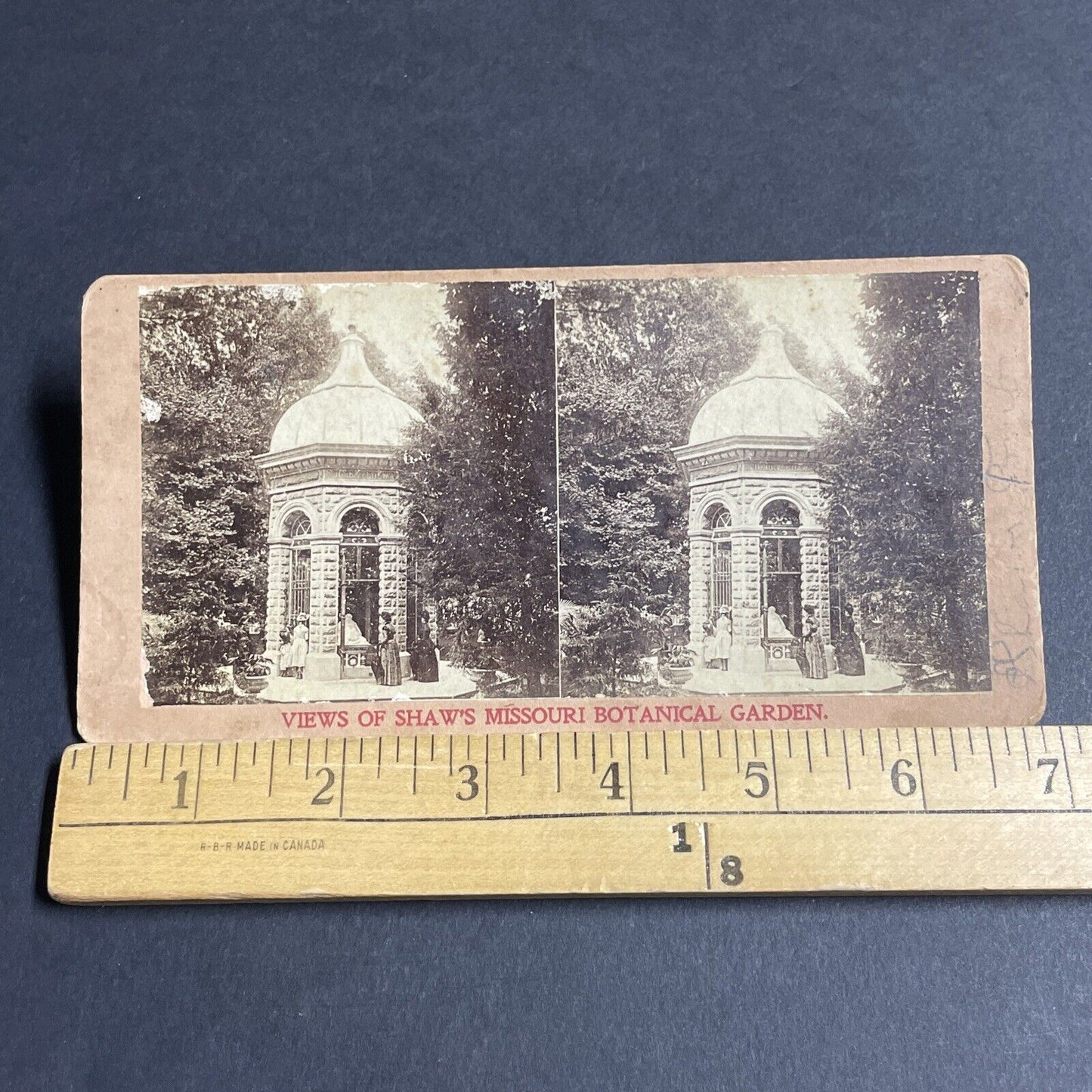 Antique 1870s Shaw's Missouri Botanical Garden Stereoview Photo Card P4873