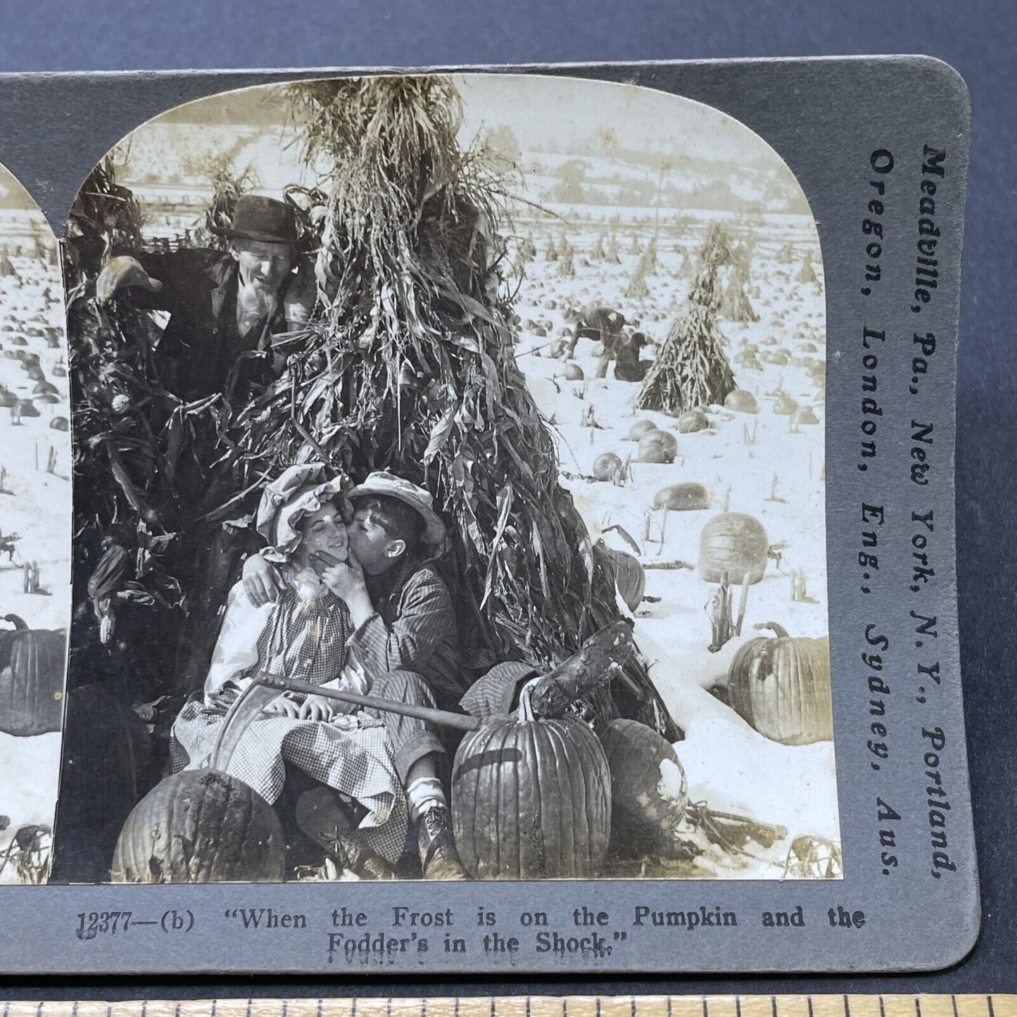 Antique 1906 Two Young Lovers Kiss In Pumpkin Patch Stereoview Photo Card P2603