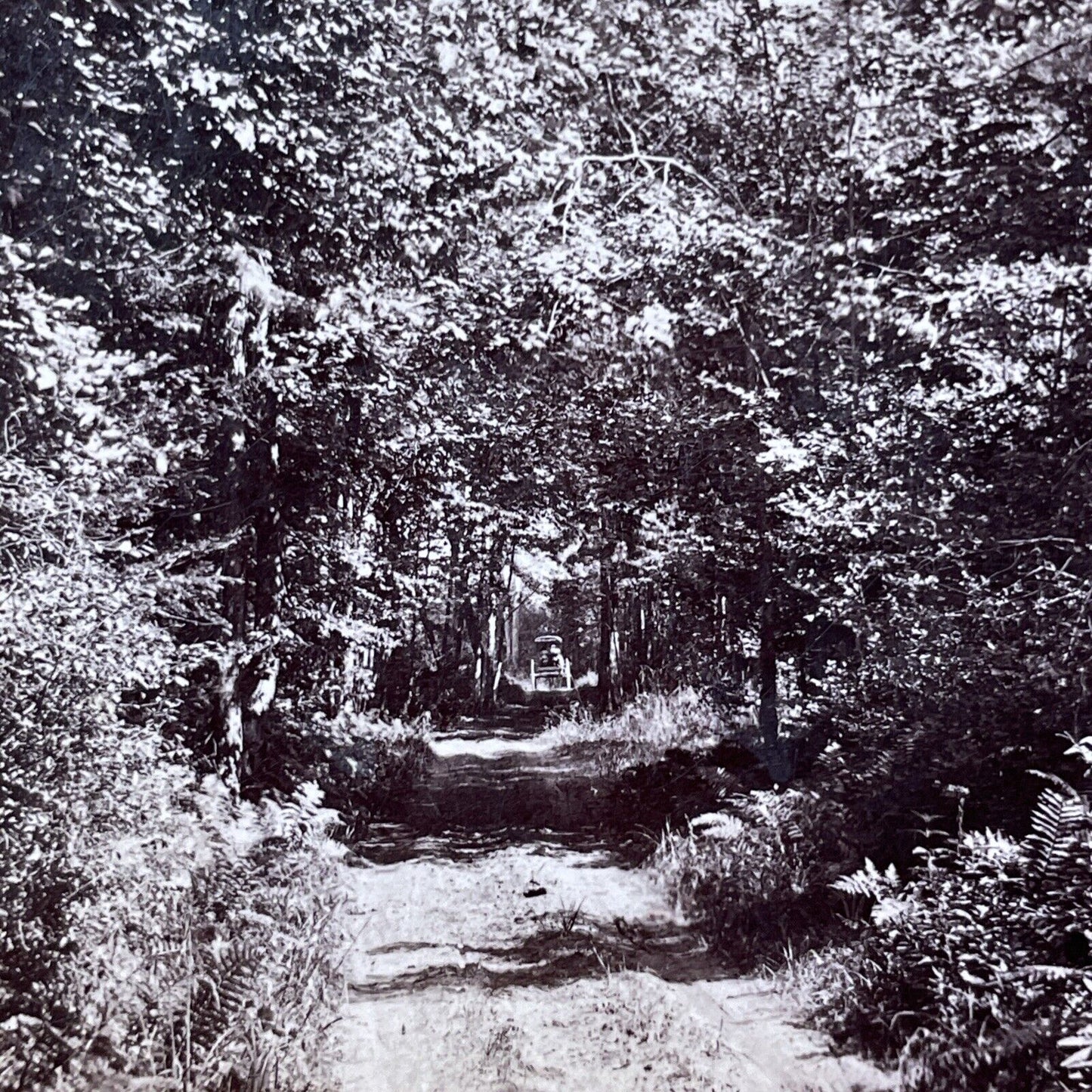 Antique 1878 Silent Way Keene New Hampshire Stereoview Photo Card V2083