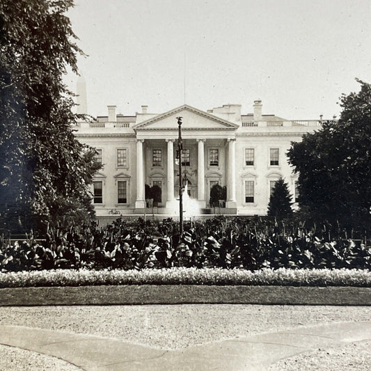 Antique 1910s The White House Washington DC USA Stereoview Photo Card P4828