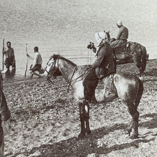 Antique 1900 Horseman On The Shore Of The Dead Sea Stereoview Photo Card P1389