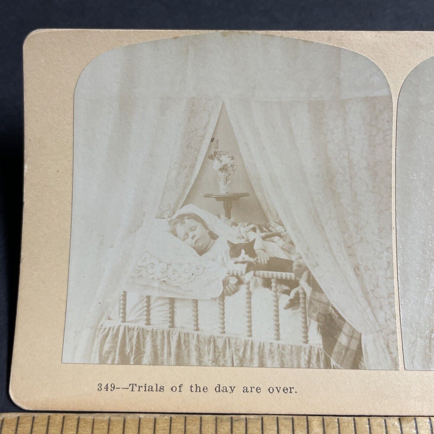 Antique 1870s Young Girl Sleeping With Cat In Crib Stereoview Photo Card P4142