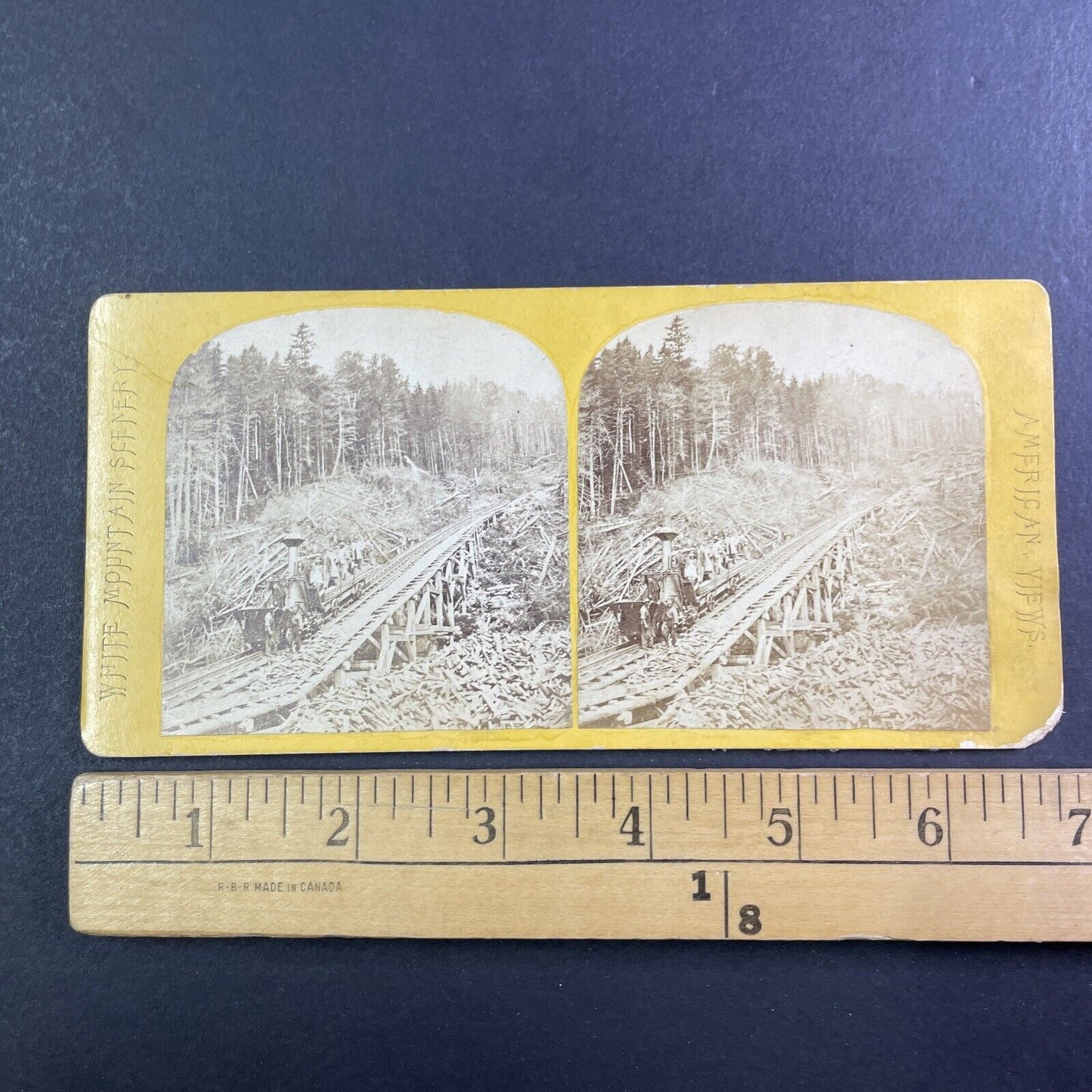 Mt Washington Railroad Sylvester Marsh Demonstration Train Stereoview c1866 Y873