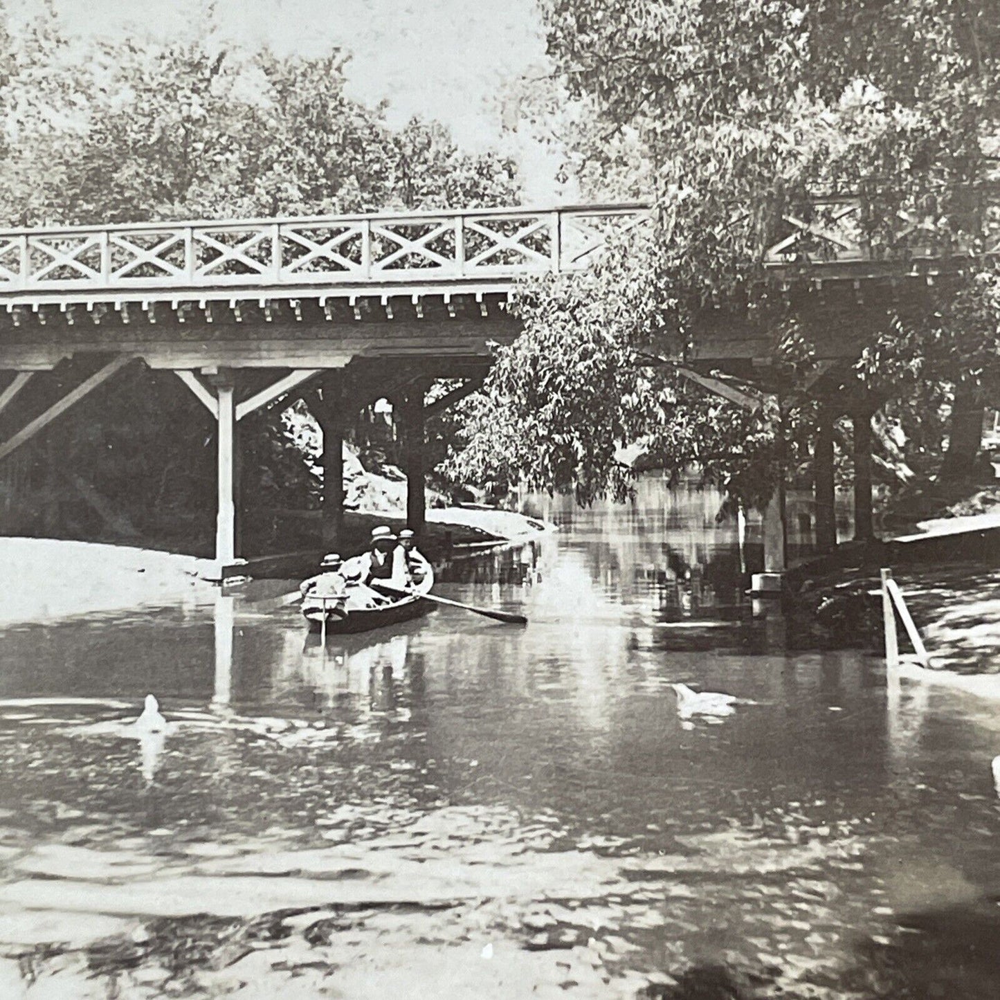 Humboldt Park Chicago Illinois Stereoview Rowing Photo Card Antique c1875 X1311